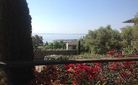 Jardins En Ville